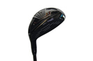 �A�L���v���_�N�c ADR PLATINUM 2024�N���f�� �t�F�A�E�F�C�E�b�h �w�b�h�摜
